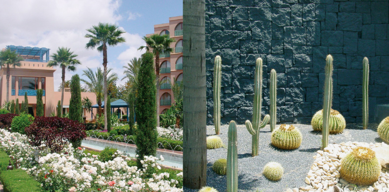 Conception et réalisation de jardins - espaces verts - pépinière