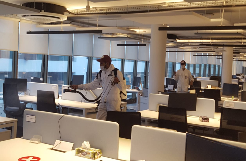 Dératisation, désinsectisation, désinfection, nettoyage, assainissement