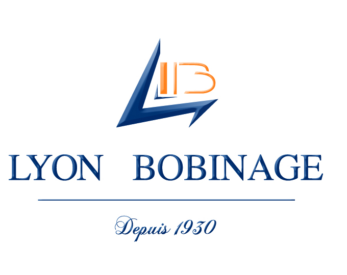 Maintenance de tous types de machines tournantes électriques bt/mt