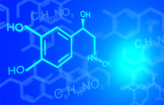 Négoce de produits chimiques, produits d'étanchéité et revêtements