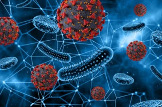 Désinfection - ldhygiene-services