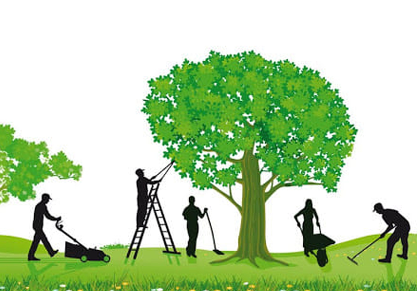 Travaux de jardinage à domicile - Heaven's garden