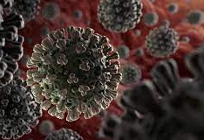 Désinfection et lutte contre les micro-organismes et virus - chpmaroc