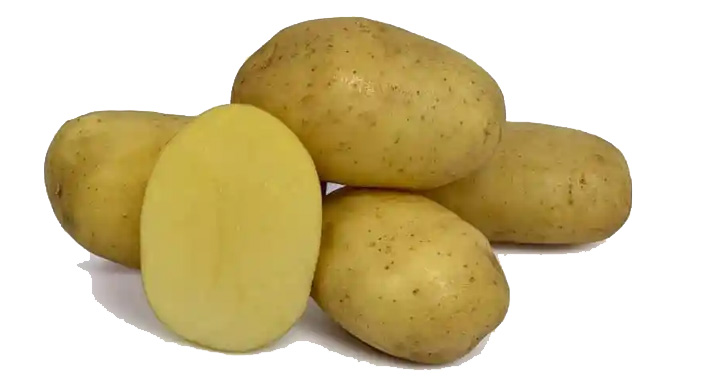 Semences de pommes de terre El mundo - Pionagri