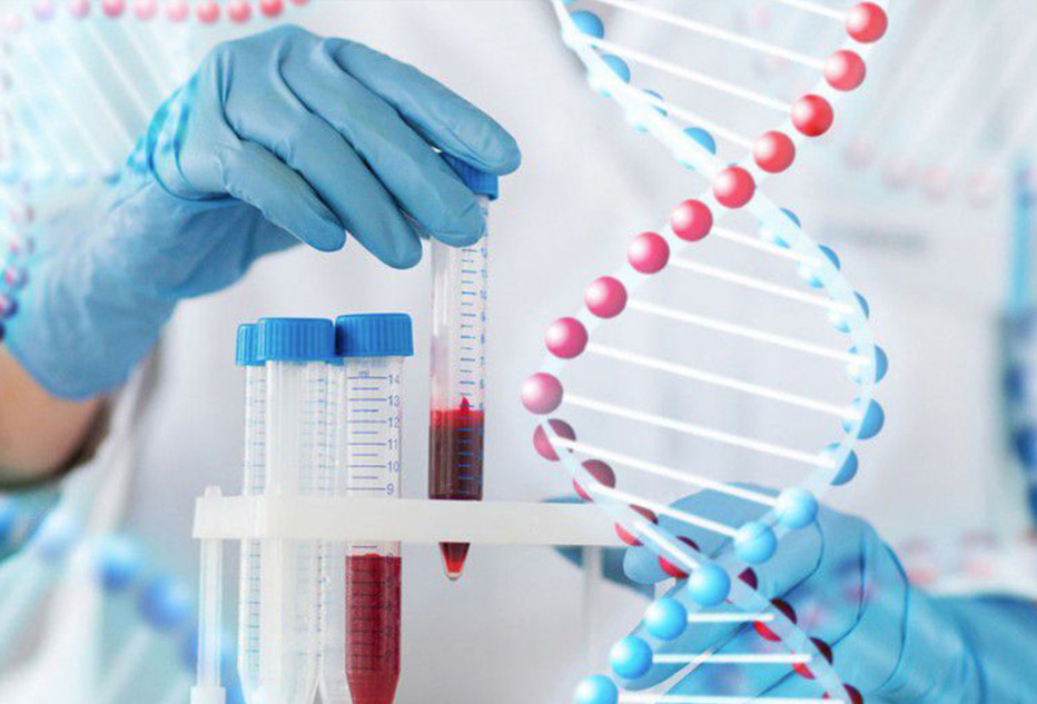 Biologie Moléculaire - lc2a
