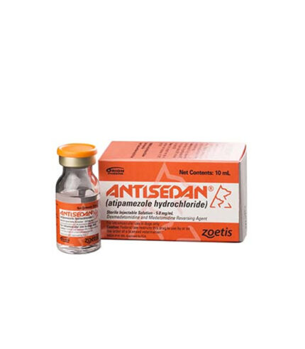 Antisedan 430x491