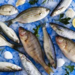 White Fish 17 products