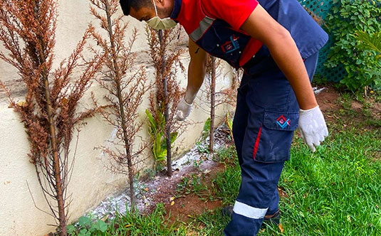 Déreptilisation - nuisipro