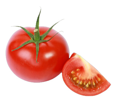 Semences tomate Twarga - casem