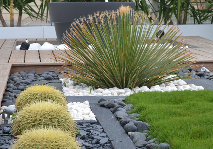 Création & Aménagement des espaces verts - Cpsm Mur Végétal