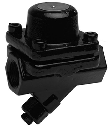 Purgeur thermostatique à capsule – série tc-300 - armstrong - maroc sealing