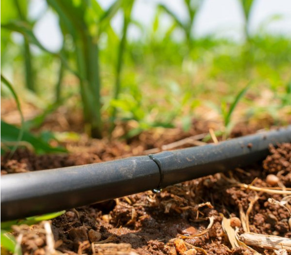 Système d’arrosage goutte à goutte - aquagenie