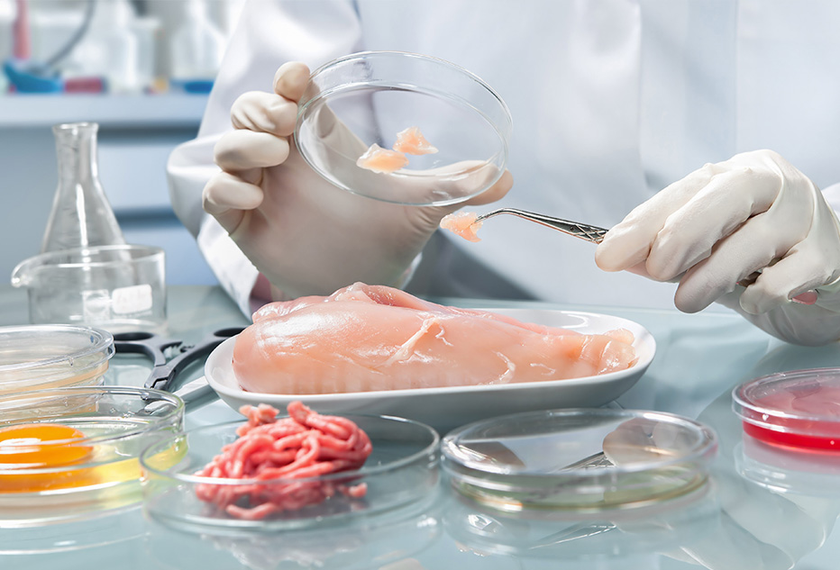 Microbiologie - lc2a