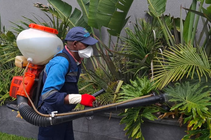 Traitement des Nuisibles, Dératisation - ecocare