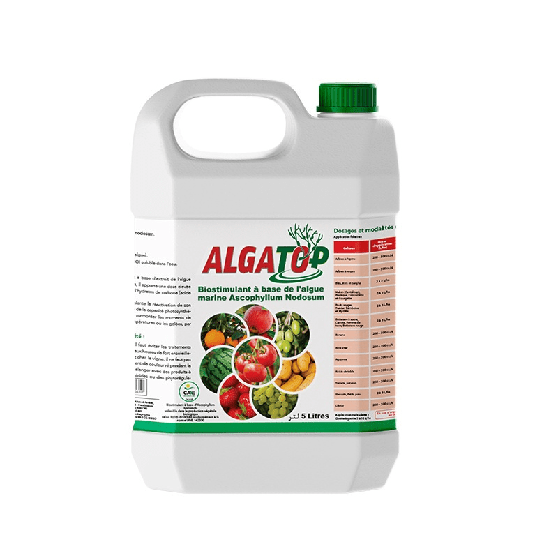 ALGATOP