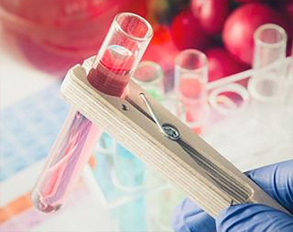 Formation à la sécurité alimentaire - bureau veritas