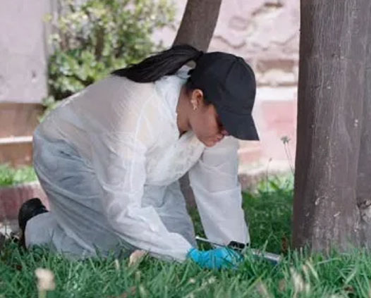 Désinsectisation, anti-nuisibles 3d - mobis.ma