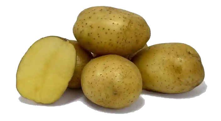 Semences de pommes de terre Everest - Pionagri