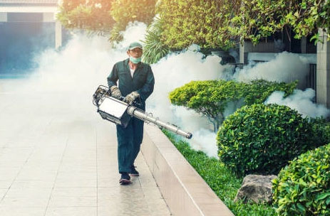 Dératisation, Désinsectisation, Désinfection - wtfs