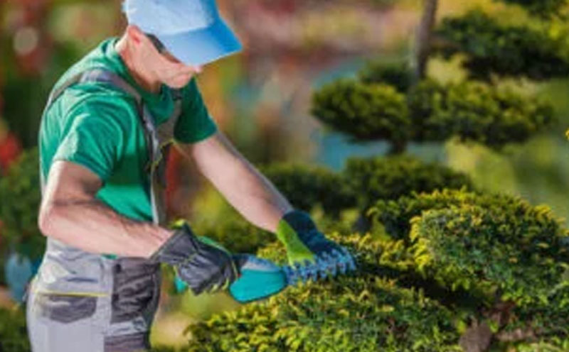 Jardinier d’espaces verts - moroccan-maids