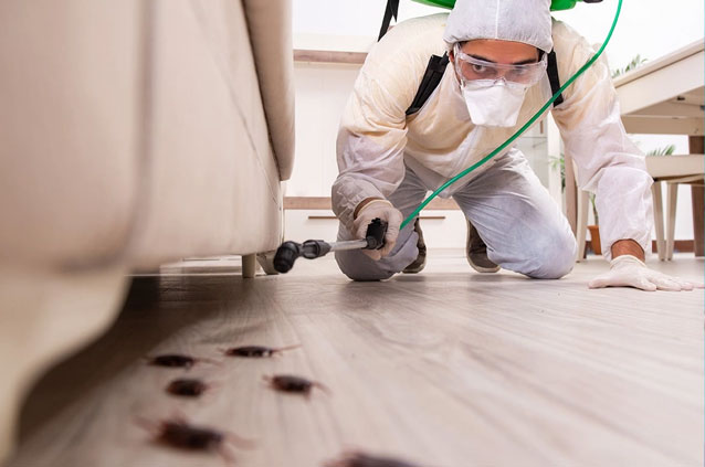 Dératisation, désinsectisation et déreptilisation - ansta-service