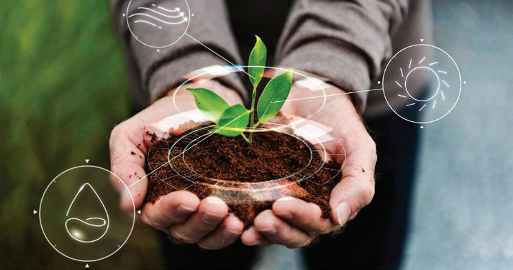 Biofertilisants agriculture - nutribiotek