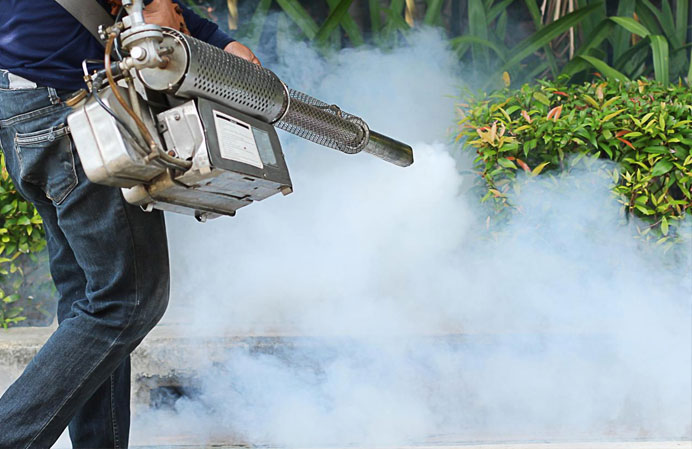 Lutte contre les nuisibles - bidahygiene