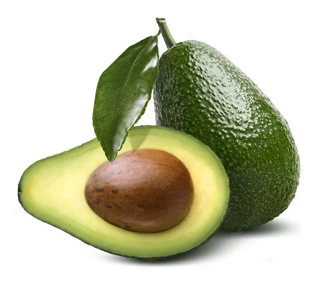 Avocats marocains de la plus haute qualité - felgar