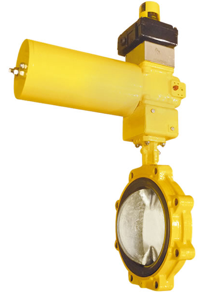 Vanne papillon - parus