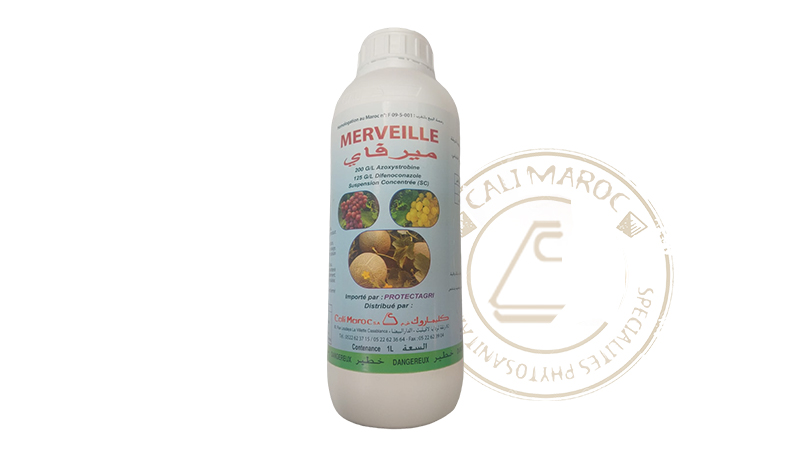 MERVELLE